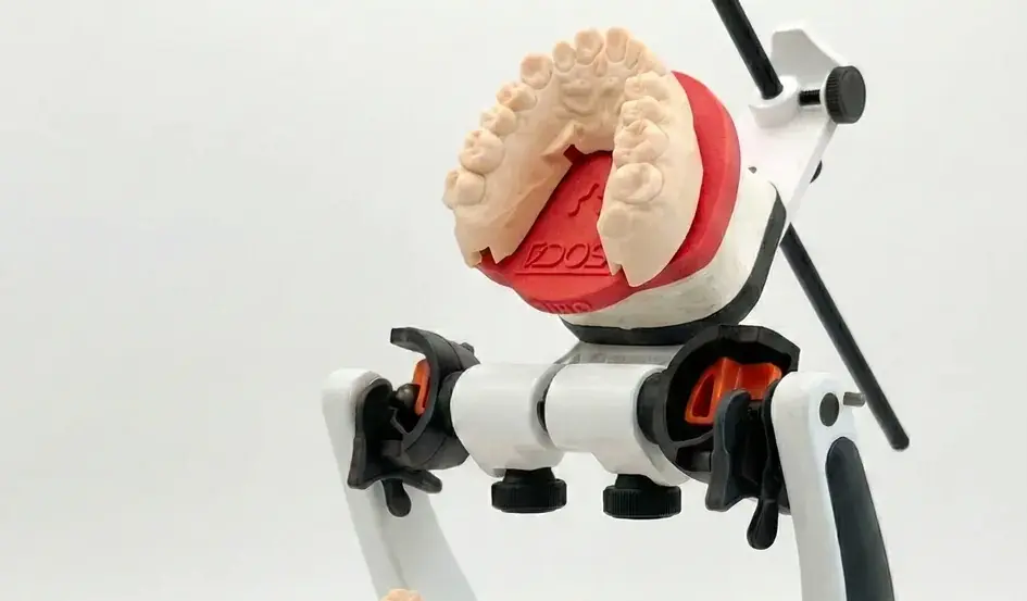 Same process on Bio Art articulator — universal compatibility